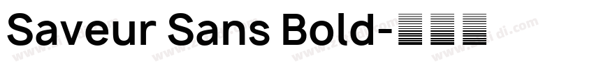 Saveur Sans Bold字体转换